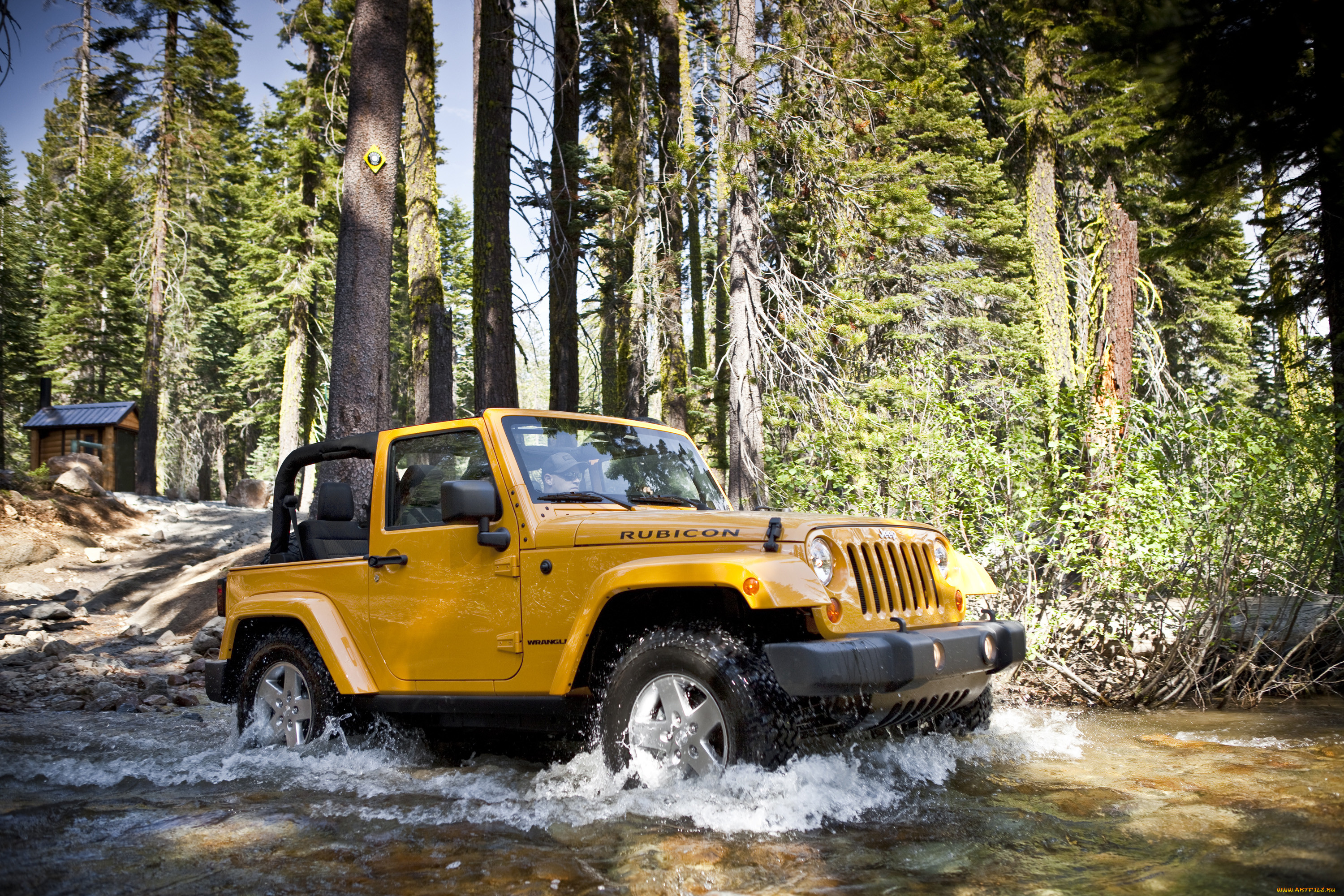 , jeep, rubicon